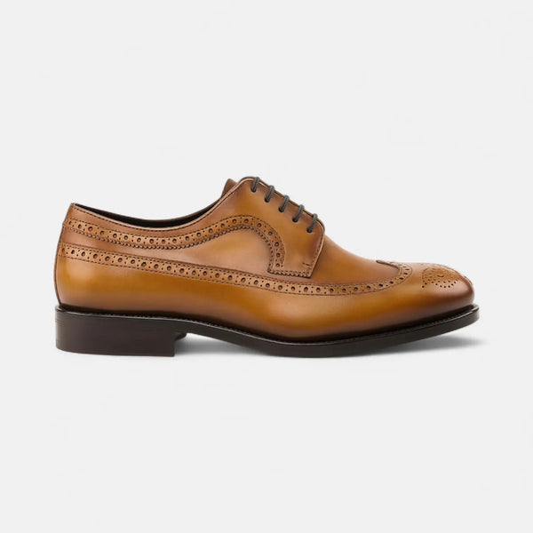 Tan Longwing Blucher